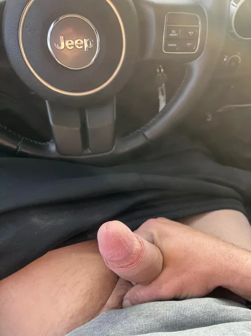 (45) let daddy do the driving while you get down there and do the sucking!