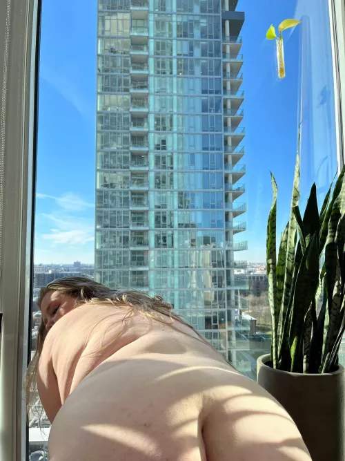 all of my exclusive fully nude content is on sale for $3 until Sunday!