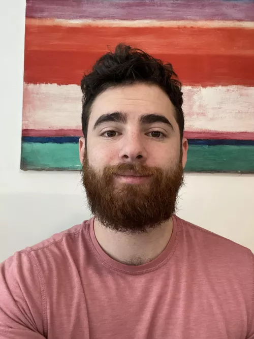 Decided to try a long beard out. What do you bros think?