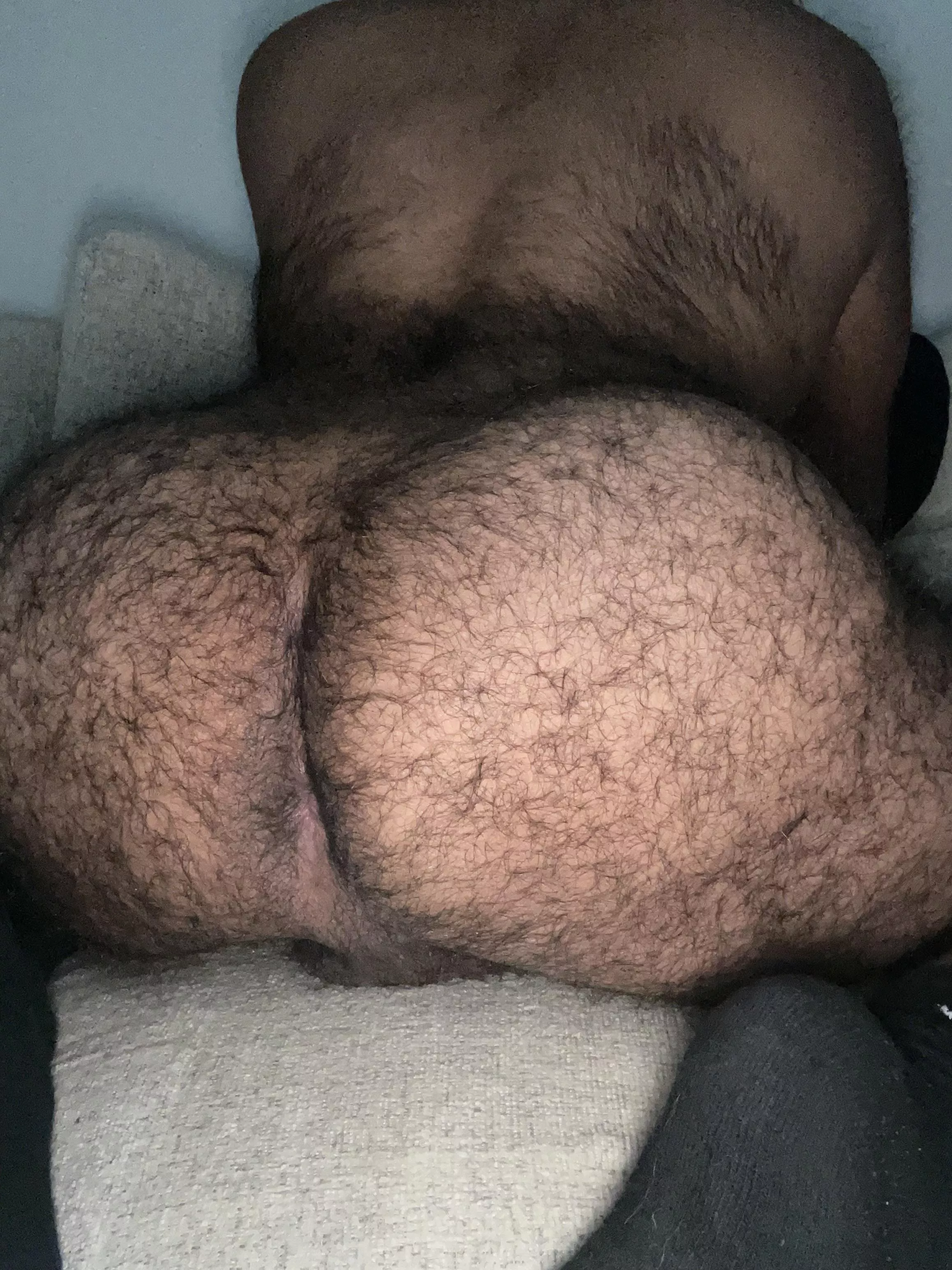 Fuzzy man ass anyone?