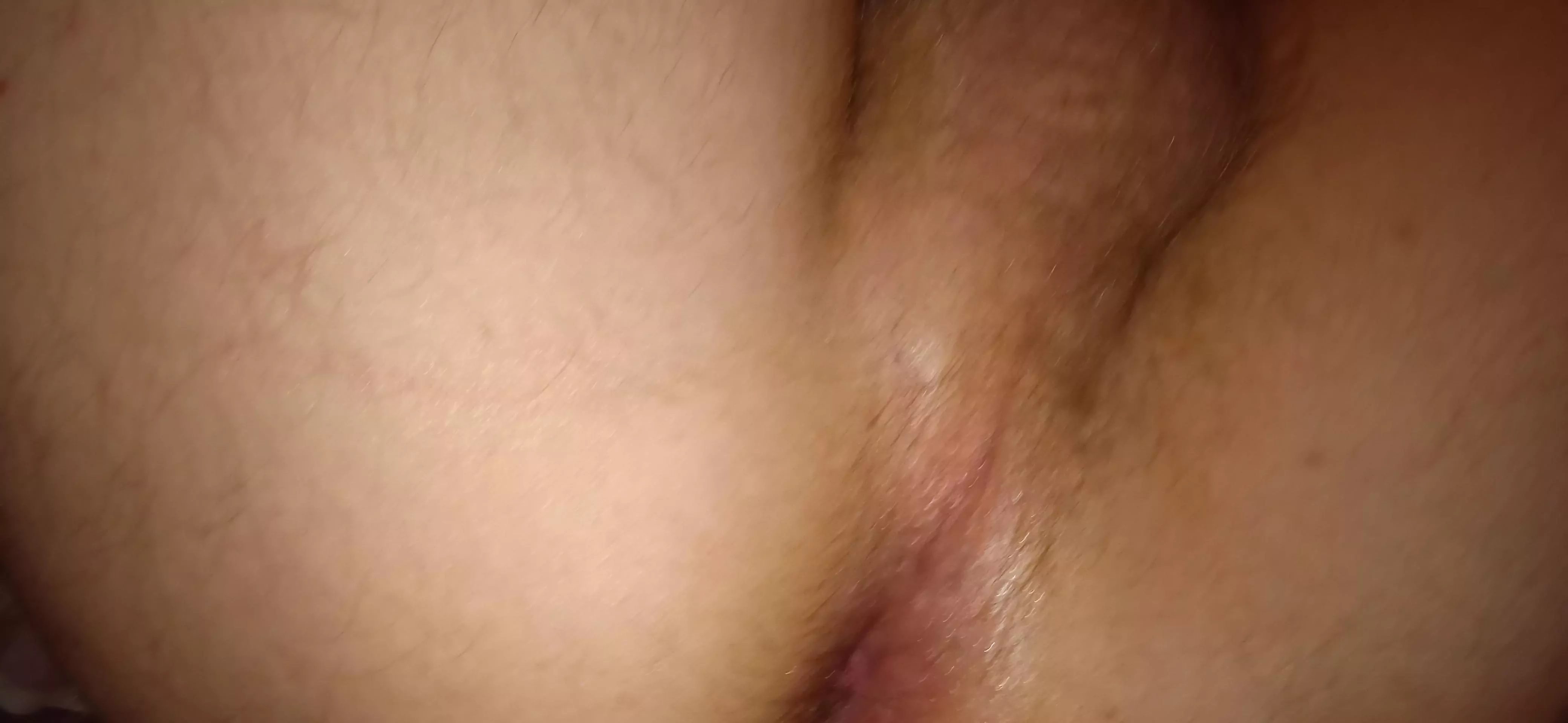 hi somebody want have a free use bitch ?