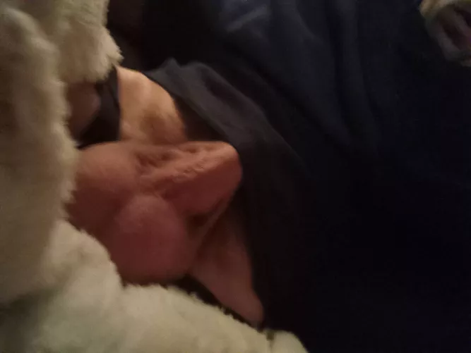 I LOVE how heavy and loaded my balls get.