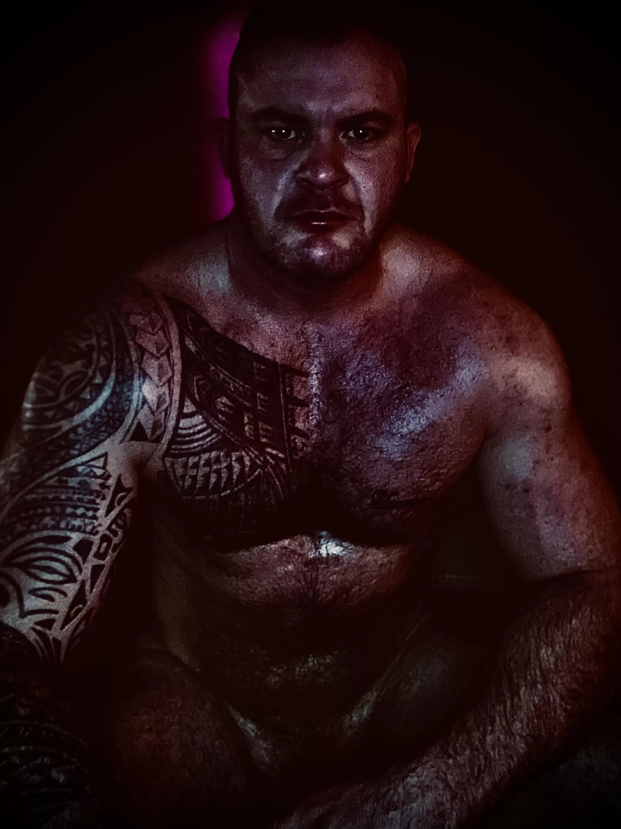 I swear to you I won't stop until your legs are shaking and you neighbours know my name.