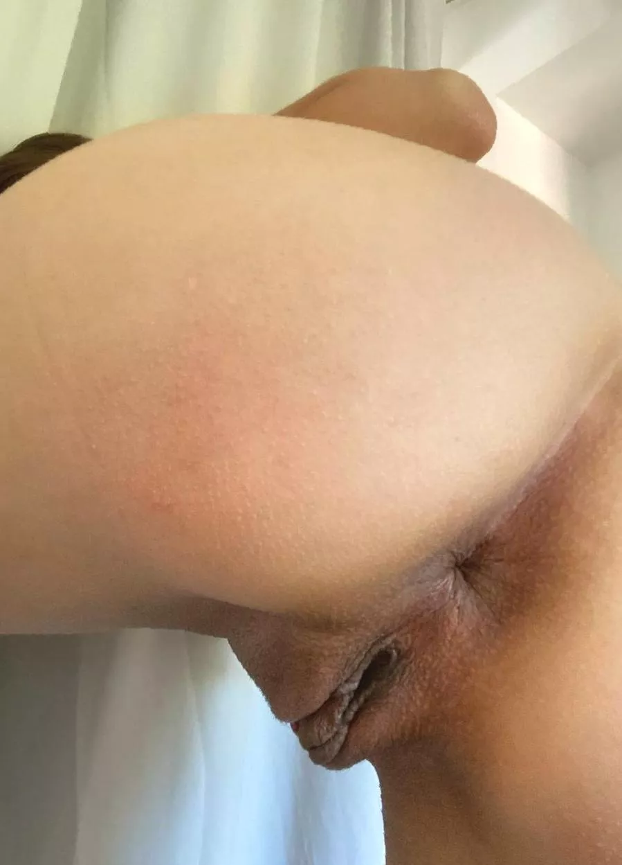 I want you to take my ass