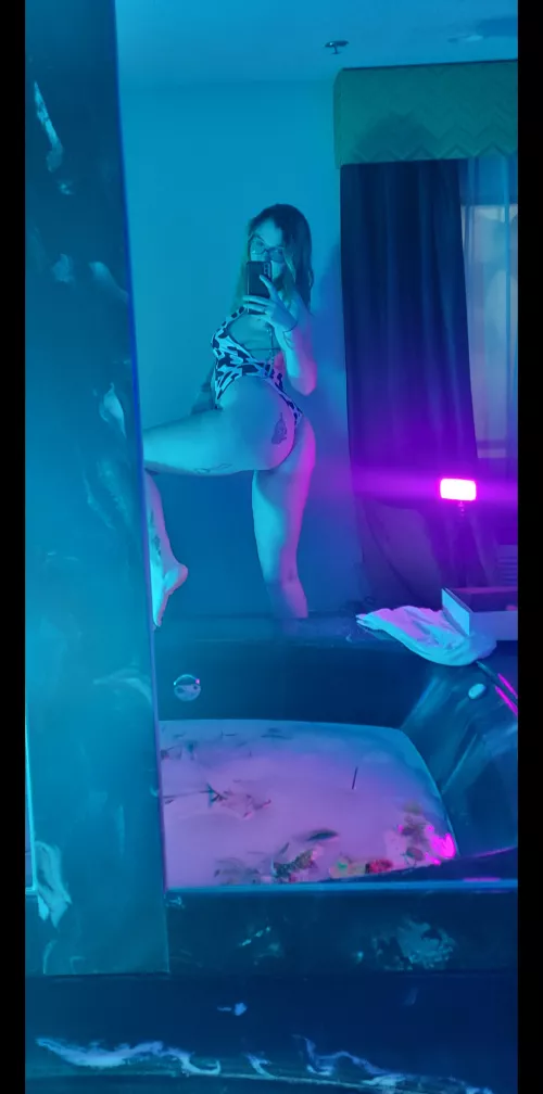 just a cow looking for a bull (oc)