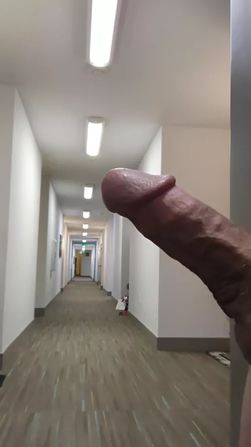 Just waving to the neighbors!