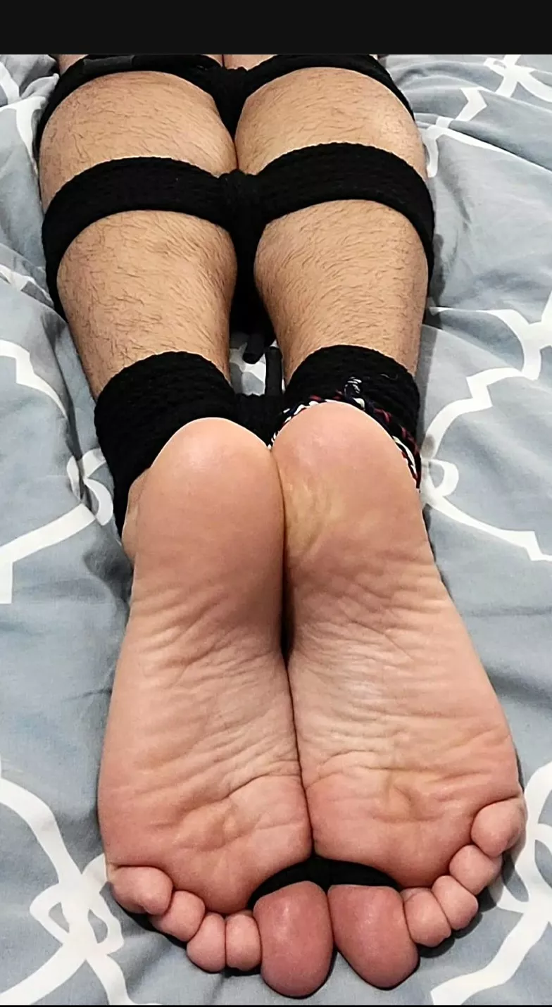 Legs neatly tied and ready for the hogtie.