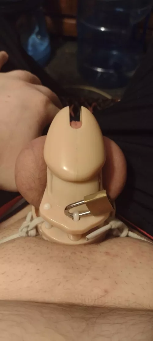 loving my cage... would you unlock me?