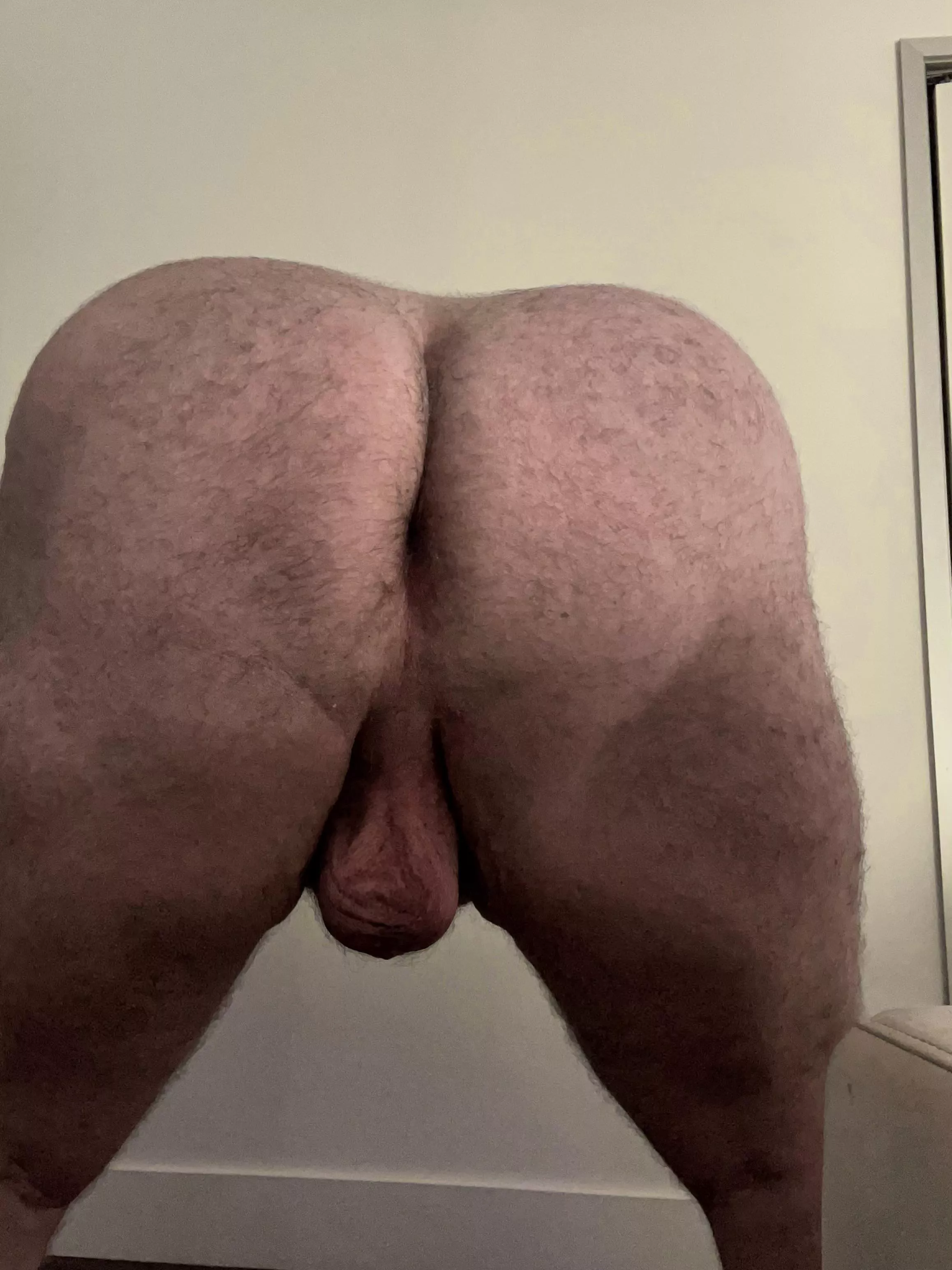 Man Ass