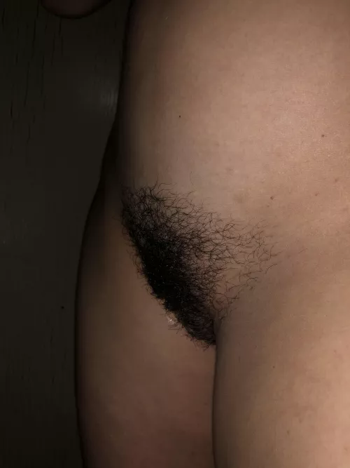 Marvelous untamed bush!