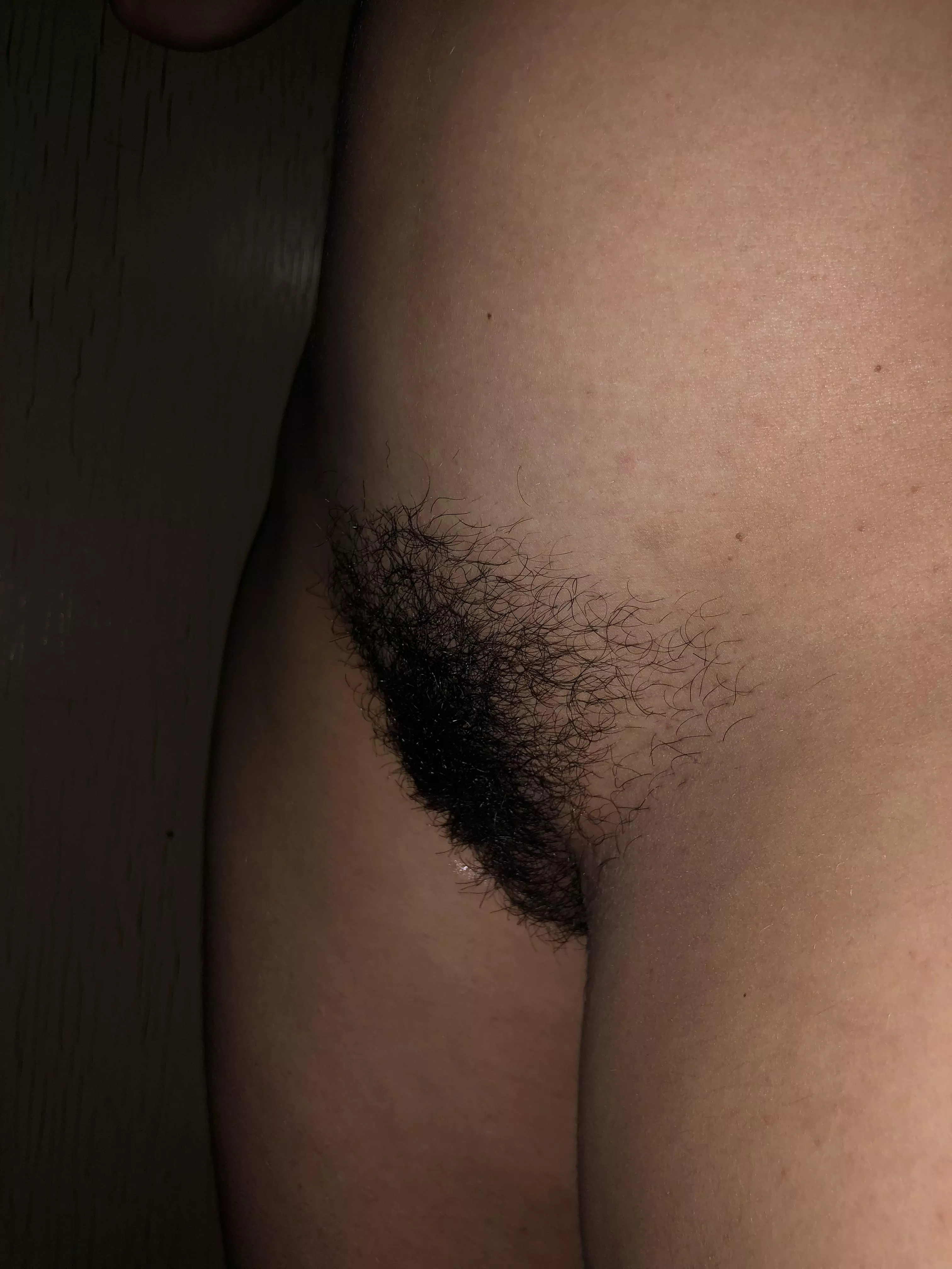 Marvelous untamed bush!