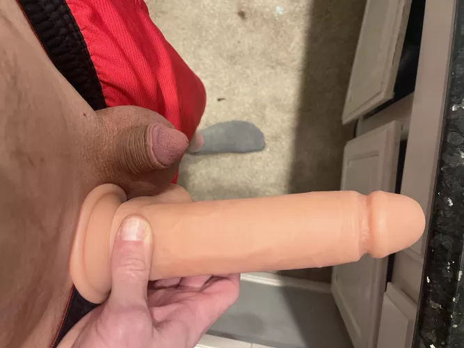Me vs. My Wife’s Favorite Toy