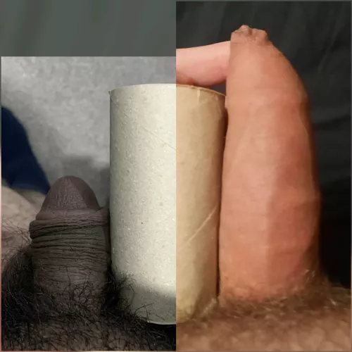 Me(right) vs. Another redditor compared soft 😁 My white cock is superior in comparison to his small dick