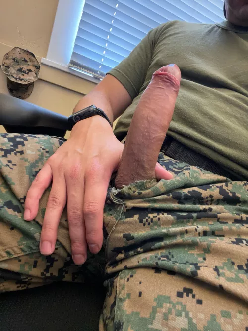 Military bull looking to enjoy your wife. How will you help me?