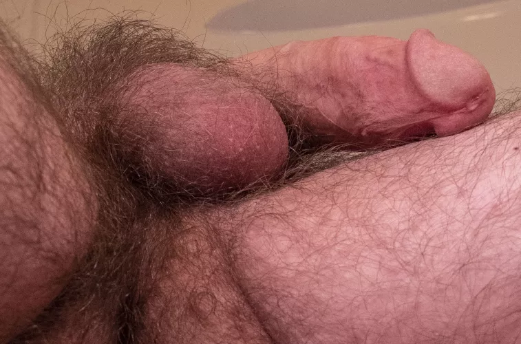 Precum and Bush