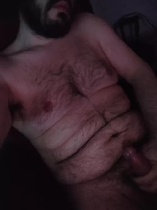 Roar if you can tame this bear