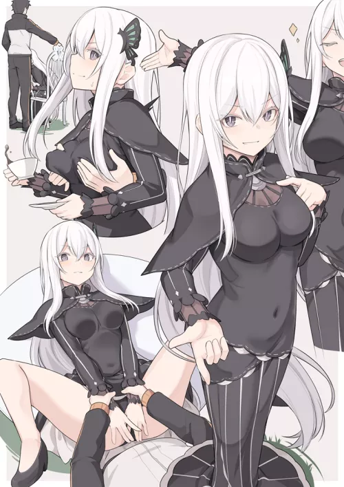 Subaru accepts a deal with Echidna