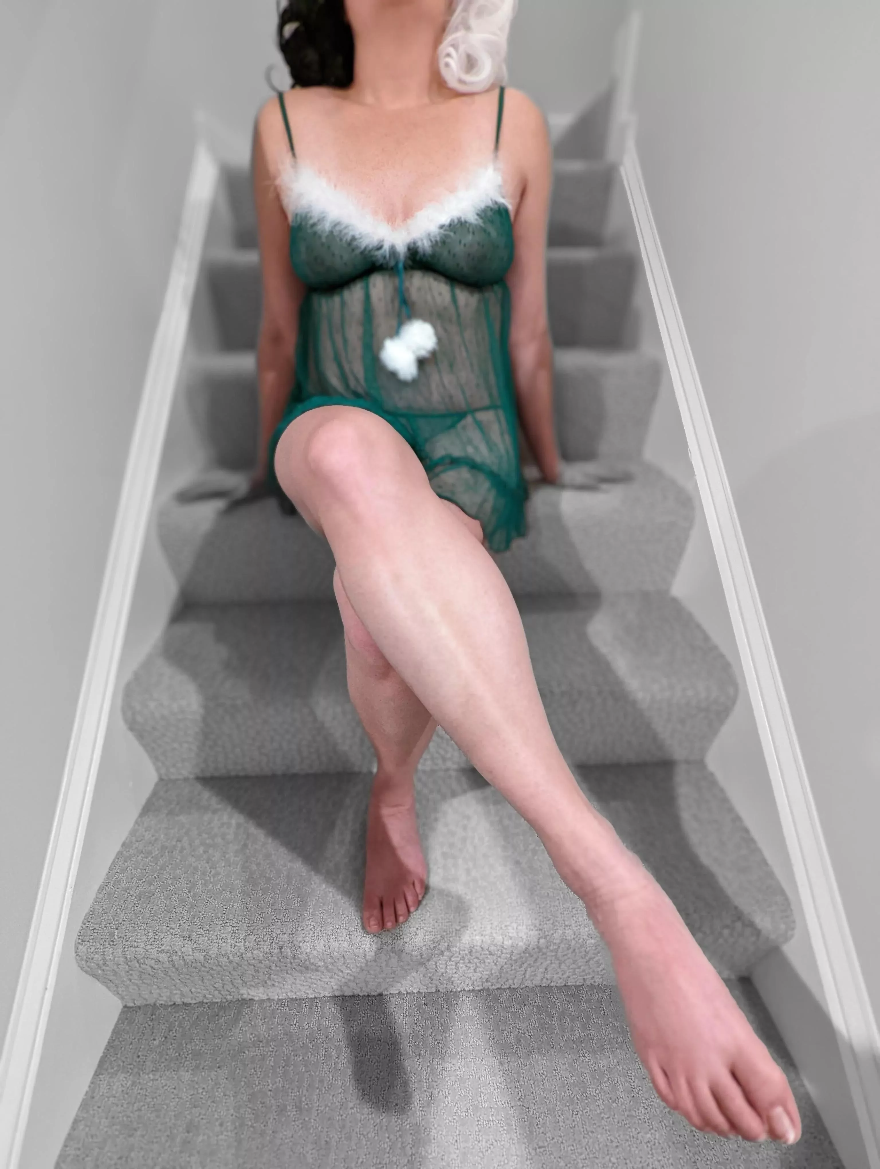 The perfect Christmas gift