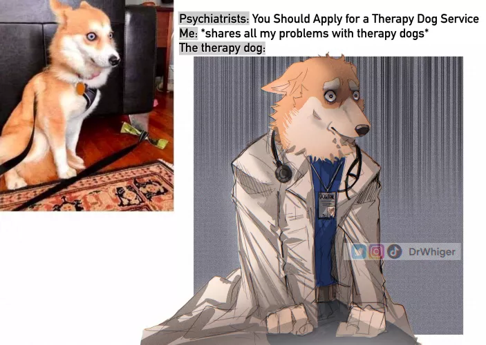 The therapist dog hates his job now