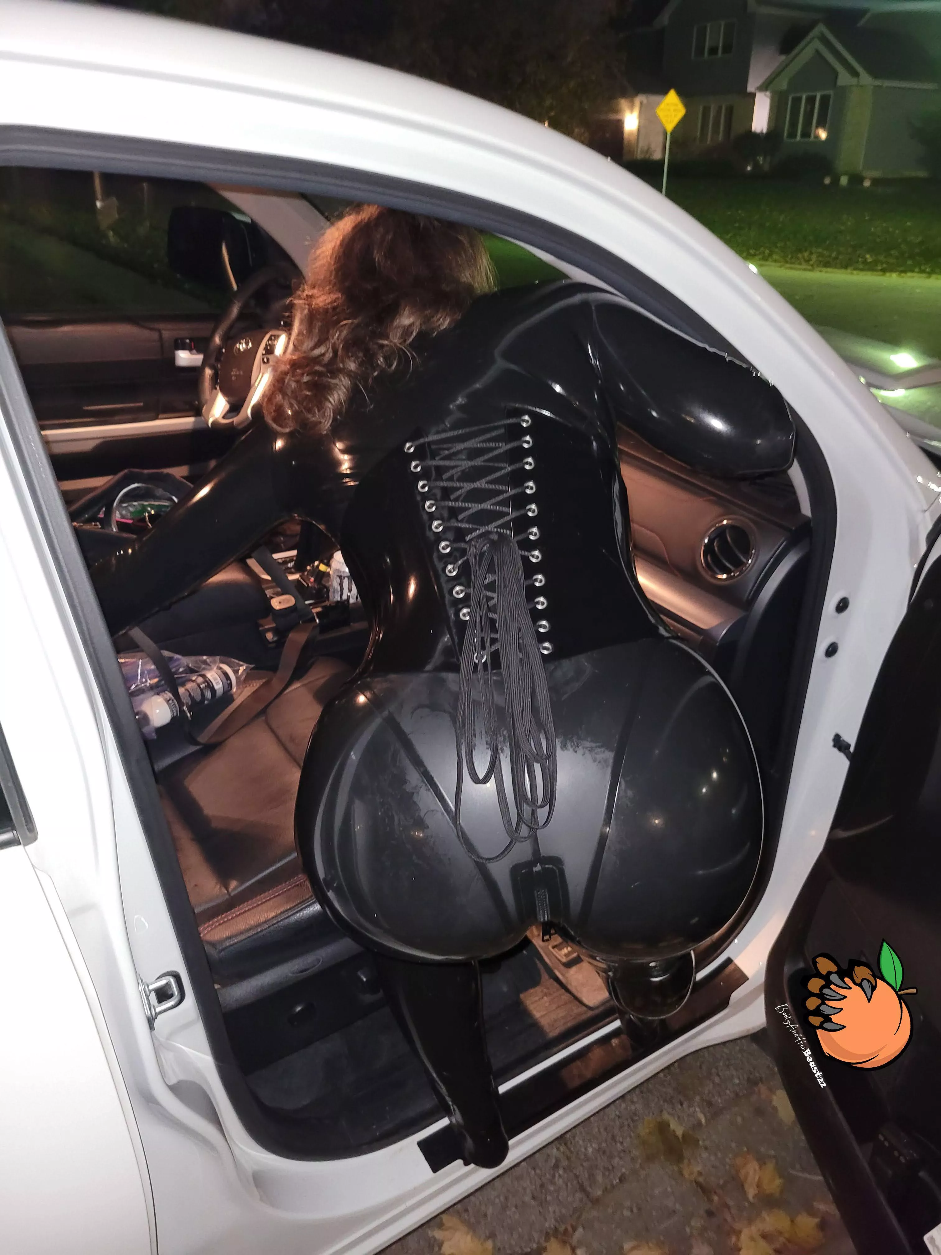 This is my first post here. Do you like [F] shiny asses?