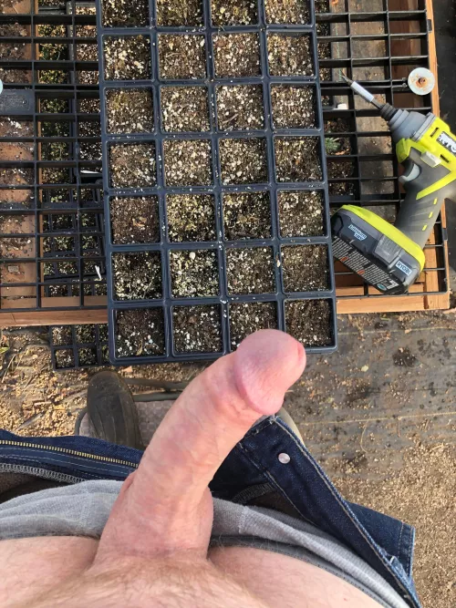 Time to start sowing seed again