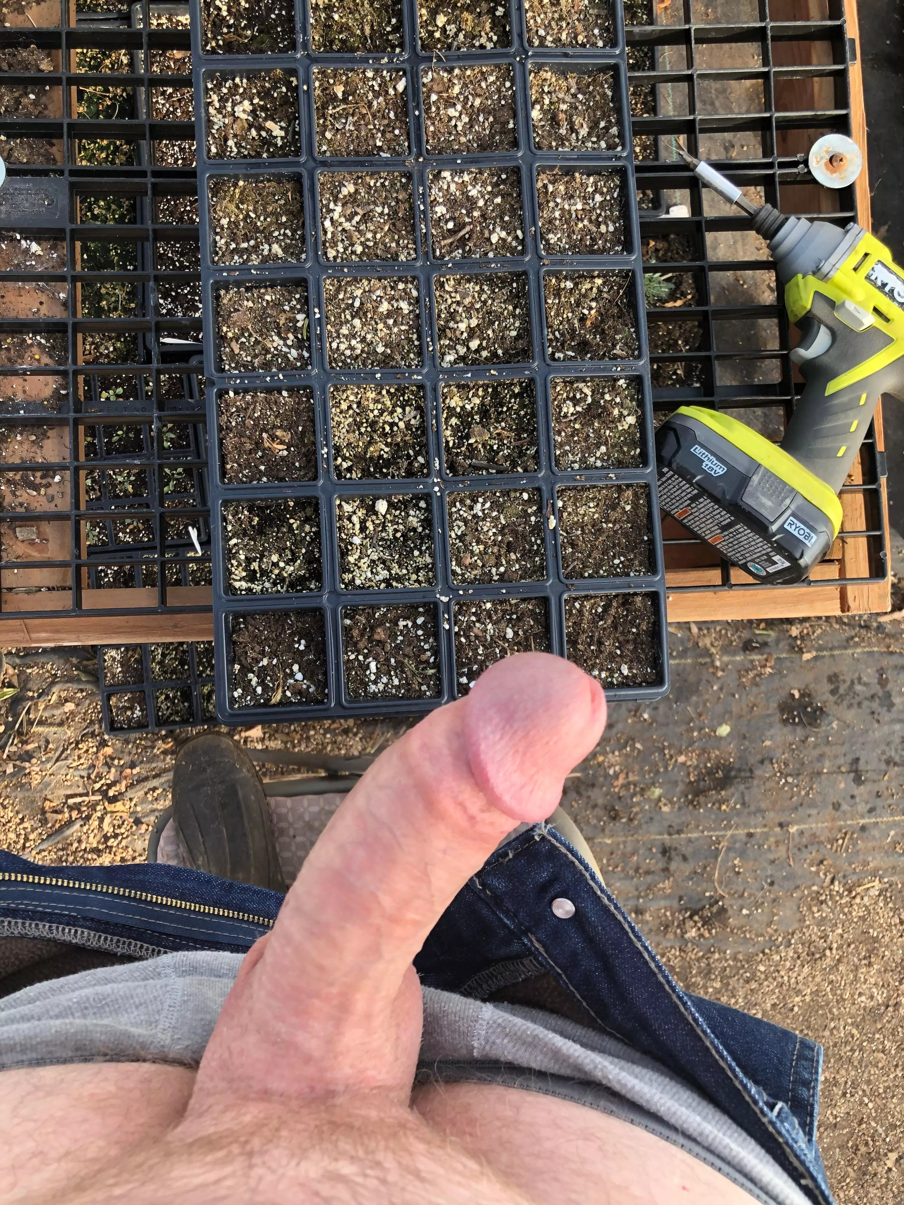 Time to start sowing seed again