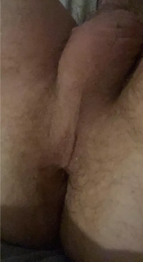 Use me as you please