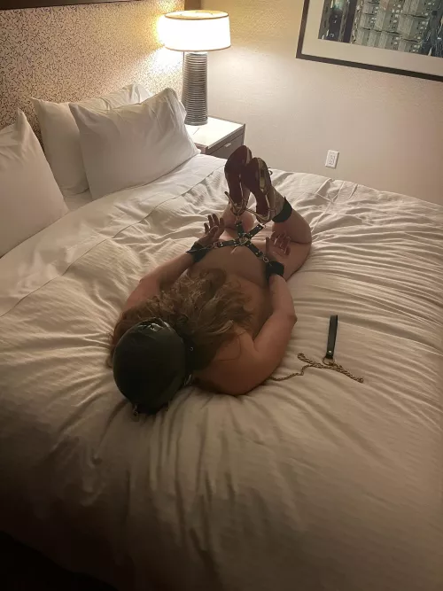 When Master tells you a Bull is coming