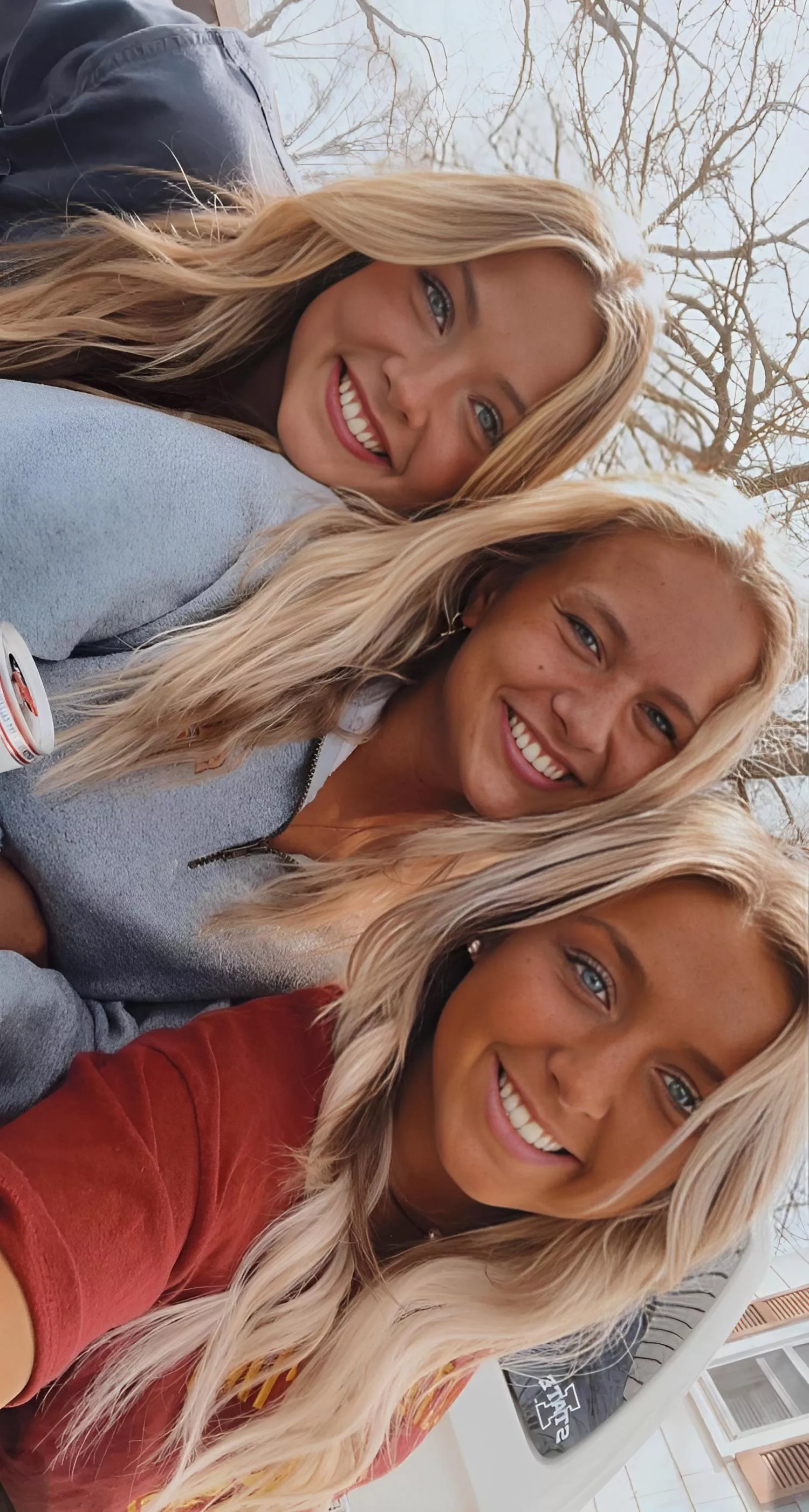 Which one would you bring home?