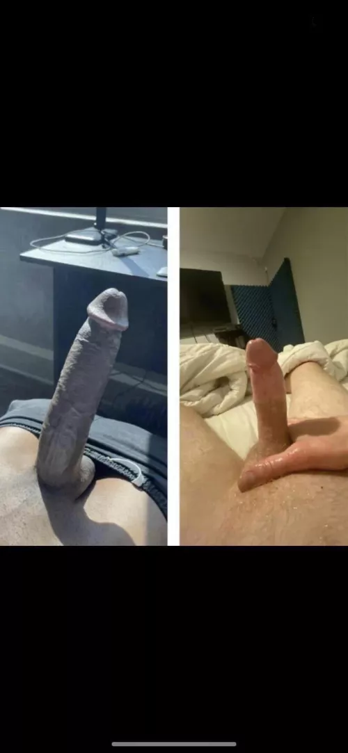 Who wins ? Left or right