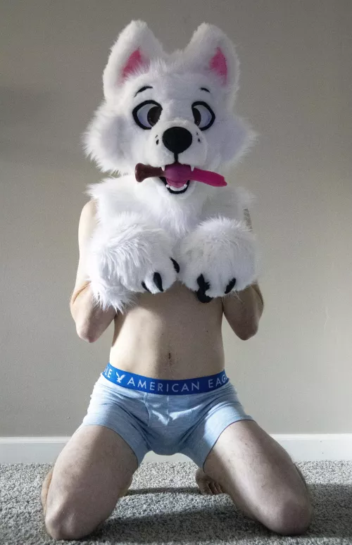 Who’s a good boy?!