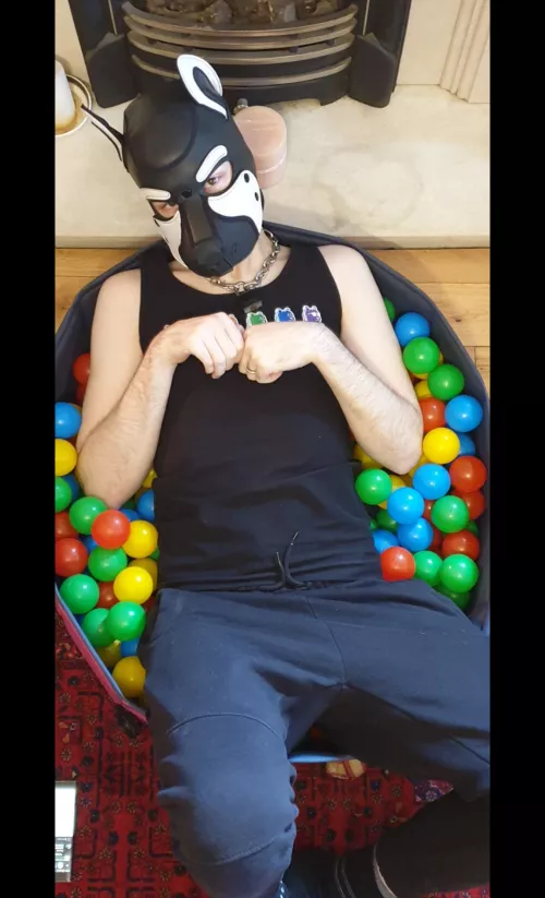 Wraff!! Give us a woof UK pups! 🐶 🥰