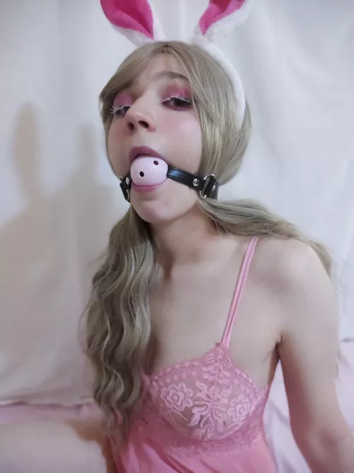 Your rabbit will now be quiet.