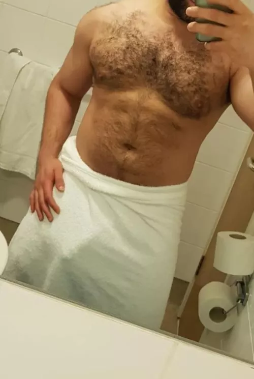 31M Respectful, experienced and easy going Bull - In London, UK tomorrow