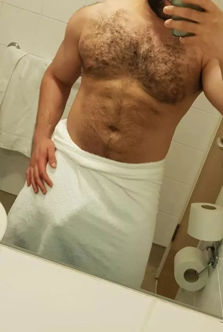 31M Respectful, experienced and easy going Bull - In London, UK tomorrow