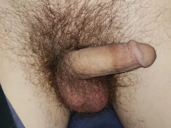 a look inside my pants.