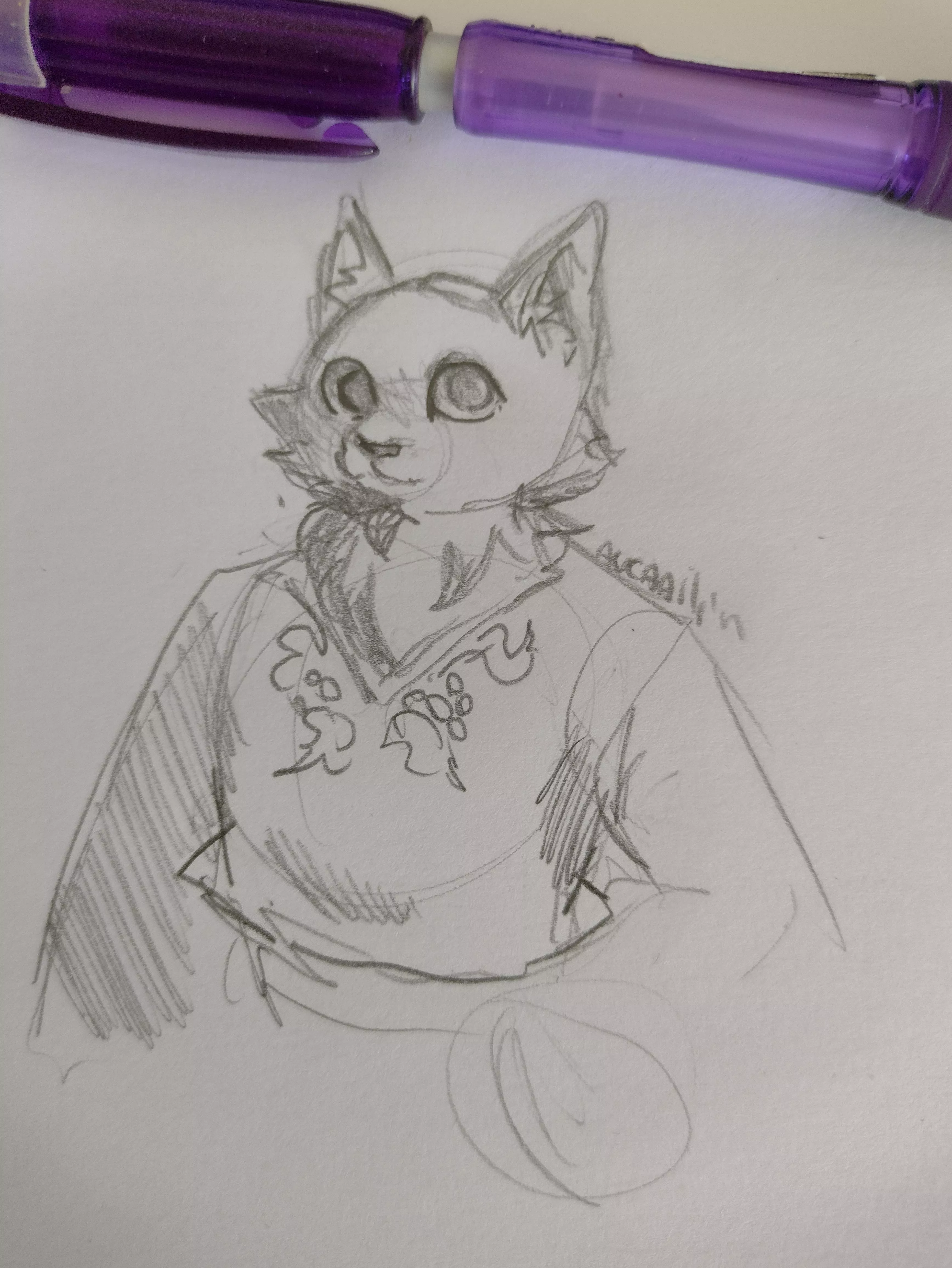 Alfalfa but as a cat 🐱 nya