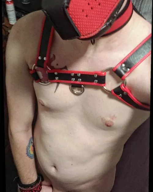 an oldie but a goodie