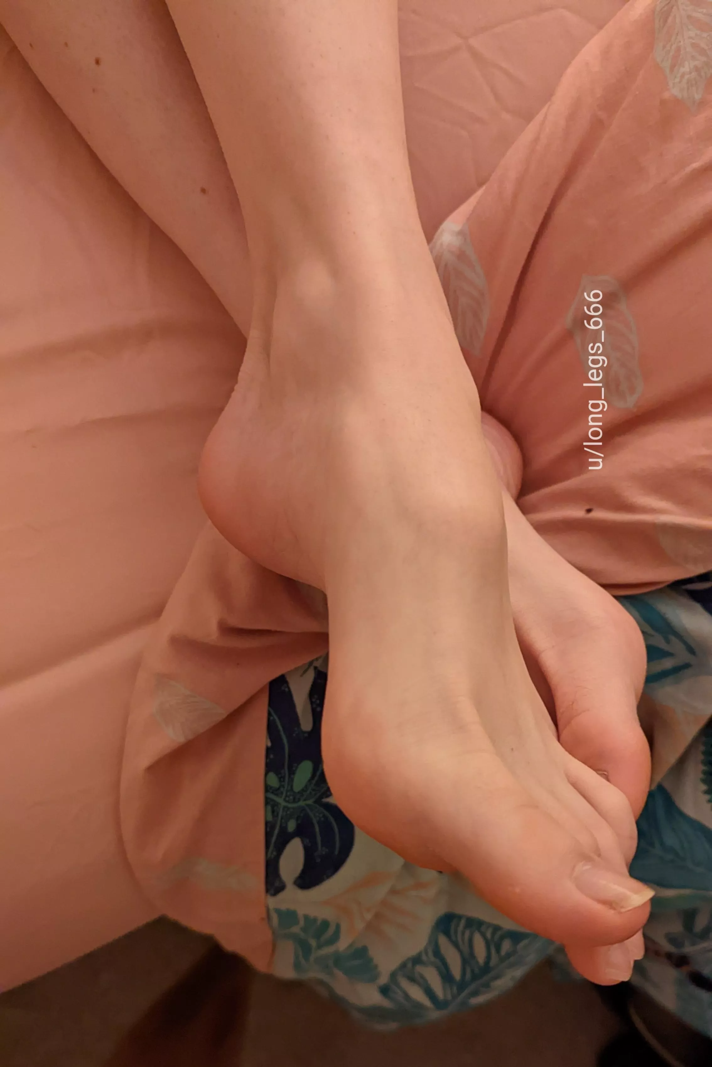 Any guys like my feet? x