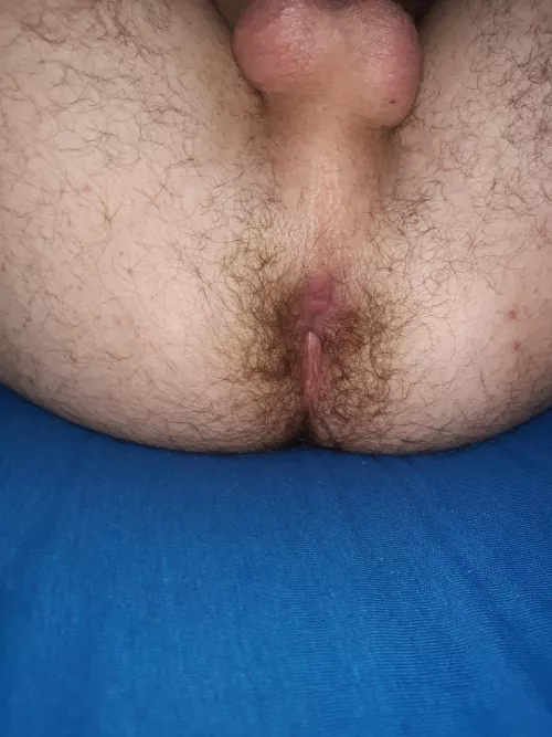 Anyone to fuck my 19 year old Boypussy? DM me