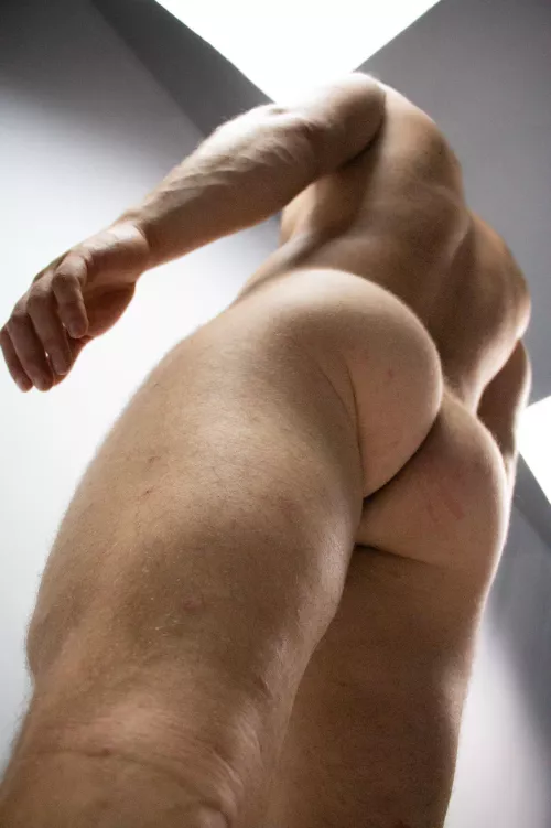 Can i squat you in the face?