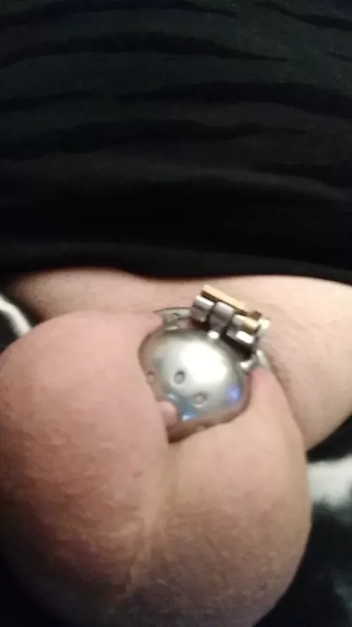 Day 4 in the new cage and Day 364 total