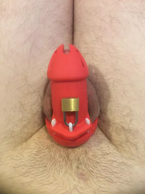 Finally locked! Now just need a keyholder!