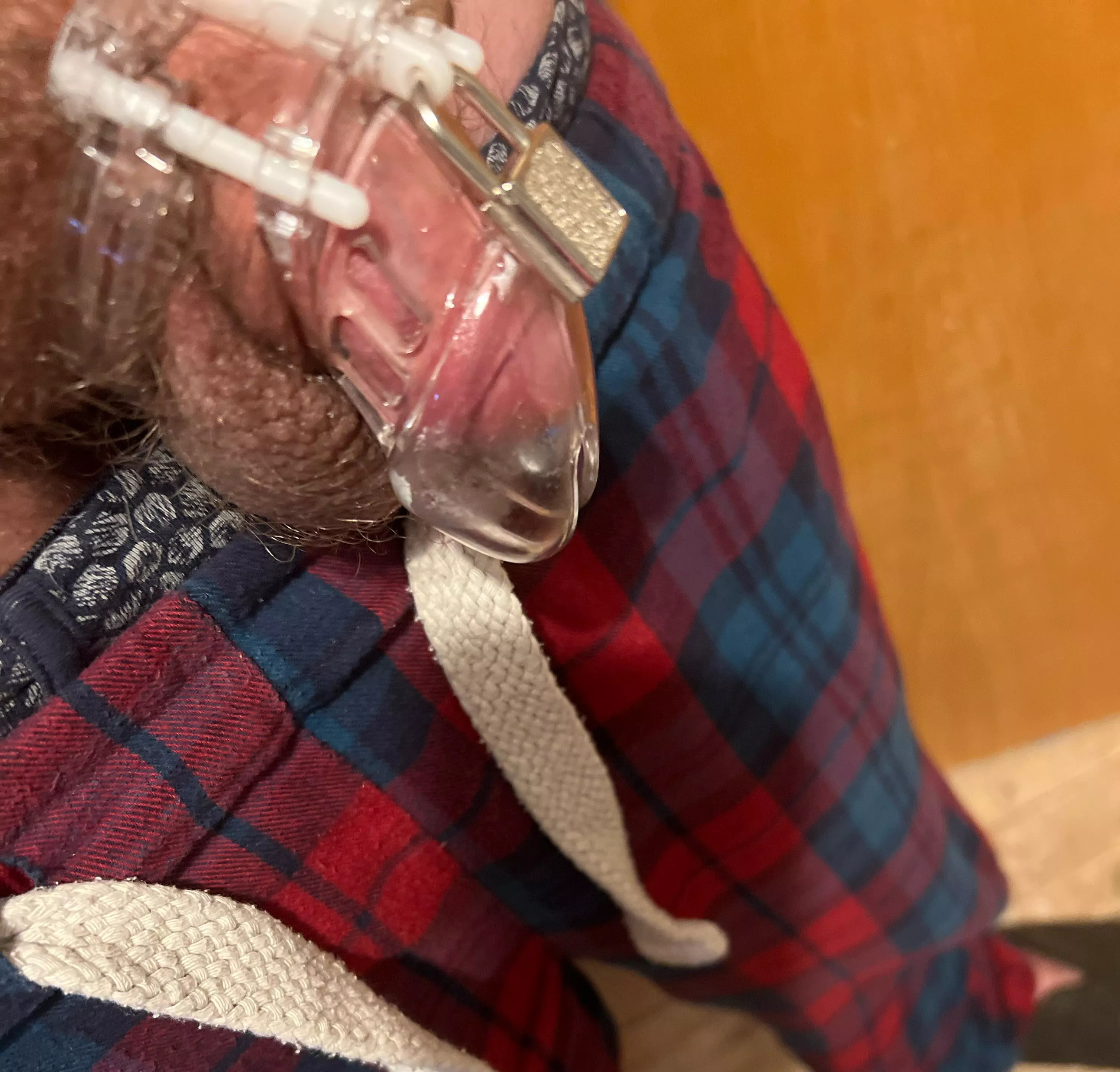 First time in chastity - how does it look?