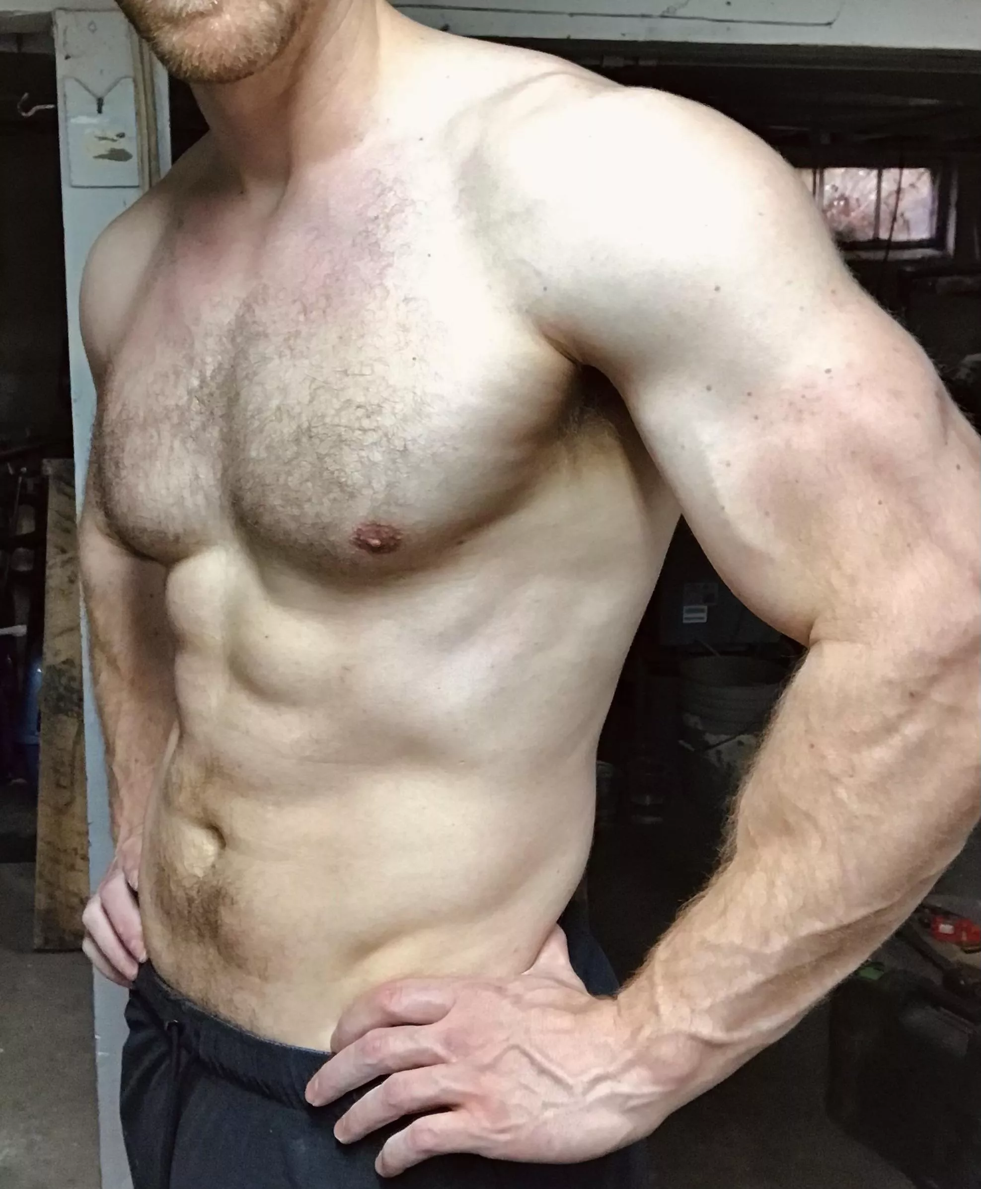 Forearms schmorearms