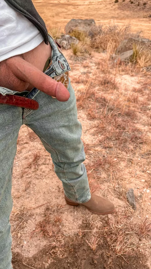 Had to stretch my legs on a long drive