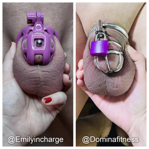 Hey Reddit - Emilyincharge and I need your help deciding who gets rewarded and who gets punished. Who doesn't love a good old cock fight?