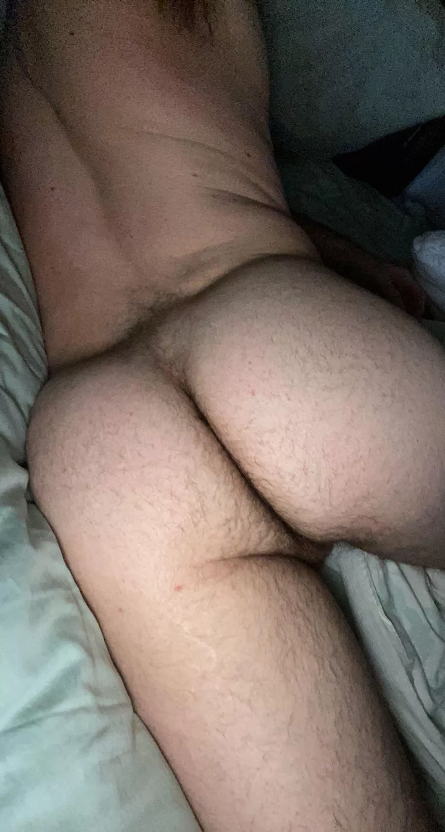 Hope y’all don’t mind a little fur