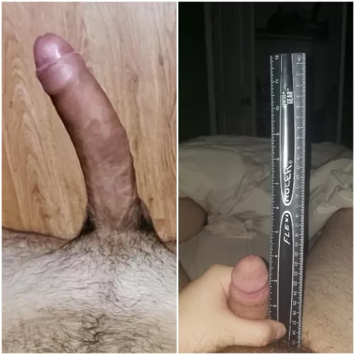I have once again been put in my place but by u/elcactusthrow this time. His massive cock is far larger than mine! im not even half his size and even his softie has 2 in on me! Hes massive!