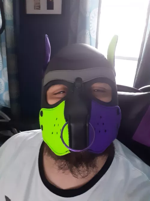 Just a NY pup having some fun!